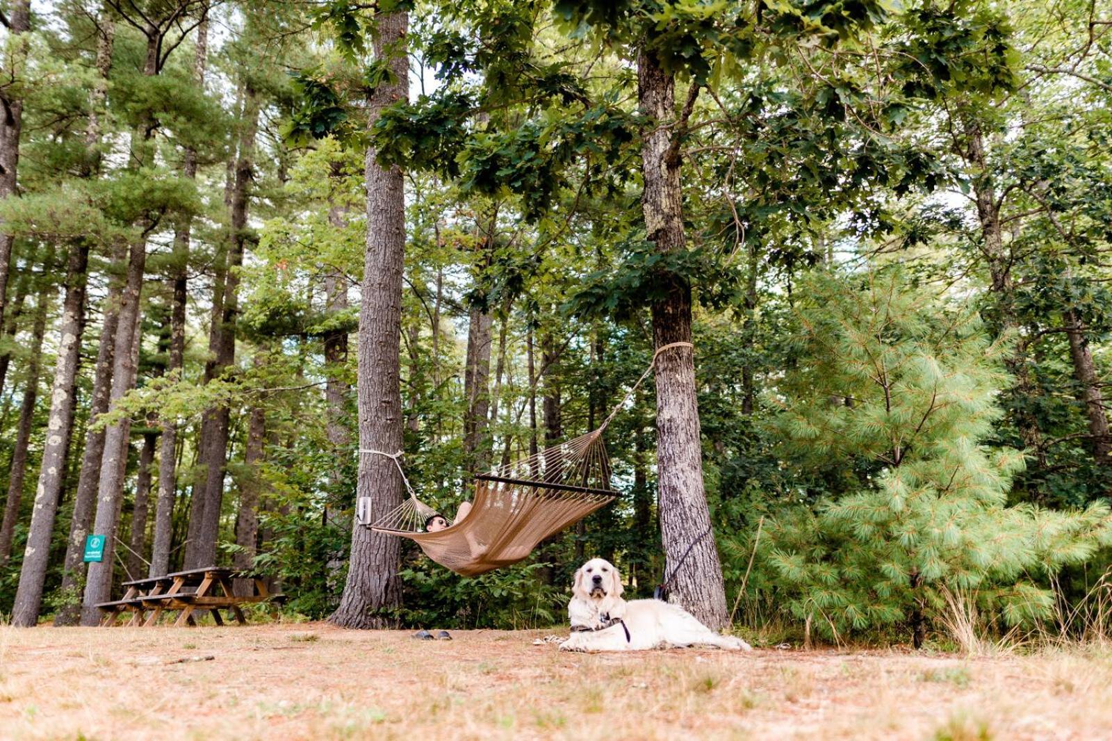 Huttopia Southern Maine Sanford Esterno foto